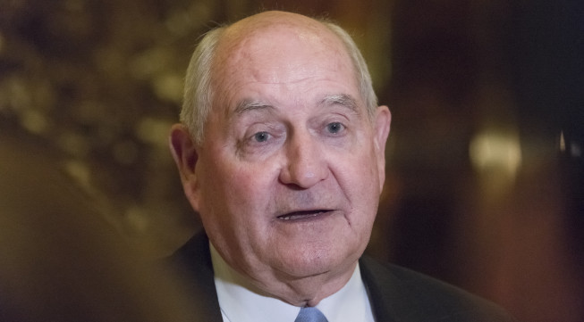 The Confirmation Process Begins- Sonny Perdue Shows Understanding of Ag and a Good Grasp of Major Issues Raised by Senate Ag Committee Members
