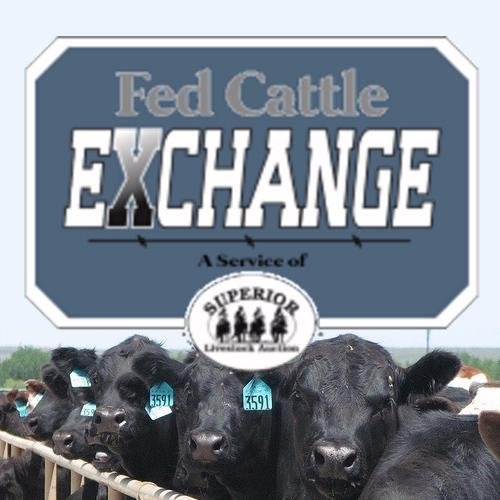 Fed Cattle Exchange Standoff Leads to Higher Trade