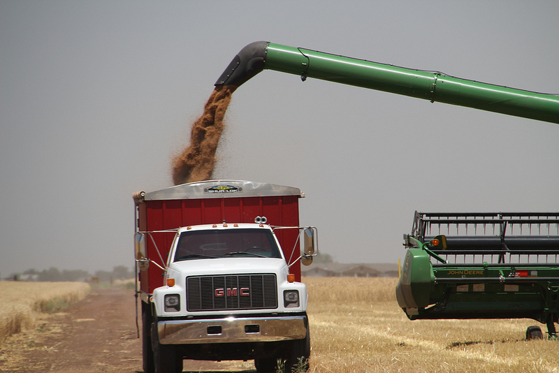 Plains Grains Calls Oklahoma Wheat Harvest 16 Percent Complete- Texas at 27 Percent Done