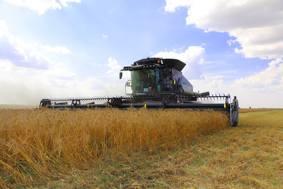 Oklahoma Wheat Harvest Now 38 Percent Complete- Plains Grains Says Kansas Harvest Just Starting