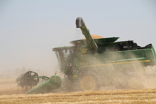 Winter Wheat Harvest Gains Traction in Kansas While Oklahoma and Texas Near the Home Stretch