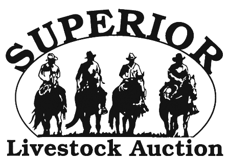 More Than 233,000 Head Offered at Superior's Week in the Rockies Sale - See the Results Here
