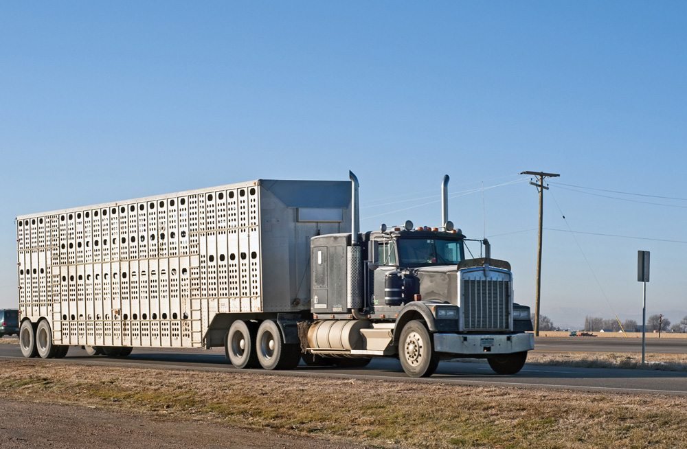 Oklahoma Farm Report Pork Producers Petition Transportation Dept. to