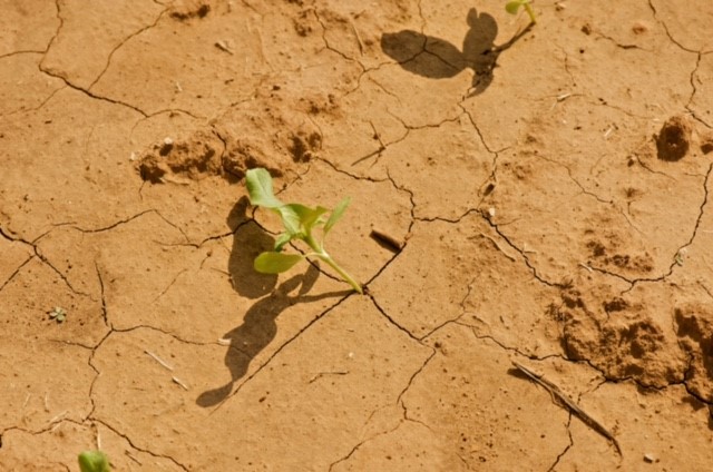 OSU Researchers Working to Develop Statewide System to Better Monitor Soil Moisture Conditions
