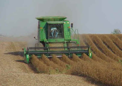 Crop Report Shows Significant Progress Made in Both Corn and Soybean Harvest Since Last Week