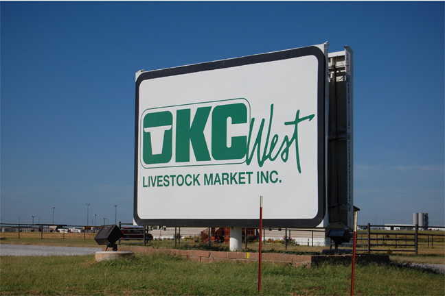 Slaughter Cows Trade 6.00 to 11.00 Lower, Slaughter Bulls Sell 4.00 Lower on Monday at OKC West