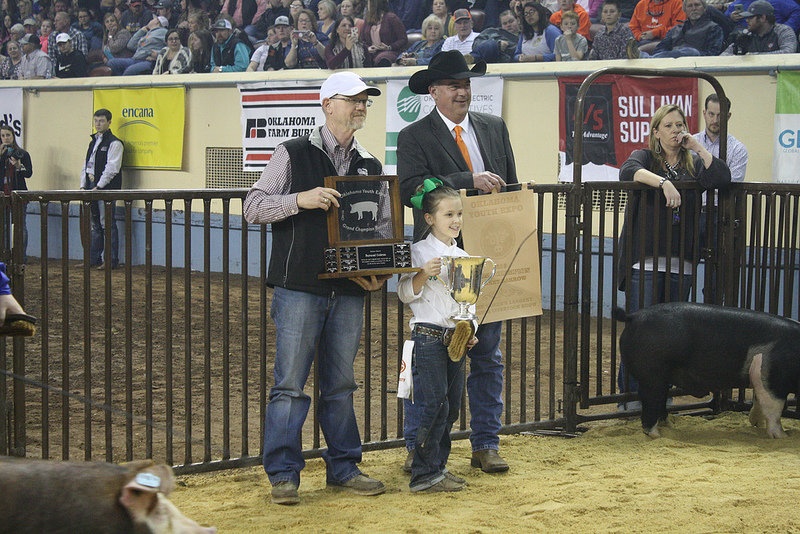 Madilyn Norvell of Amber Pocasset 4-H- Sells Oklahoma Youth Expo Grand Champion Barrow for $25,000