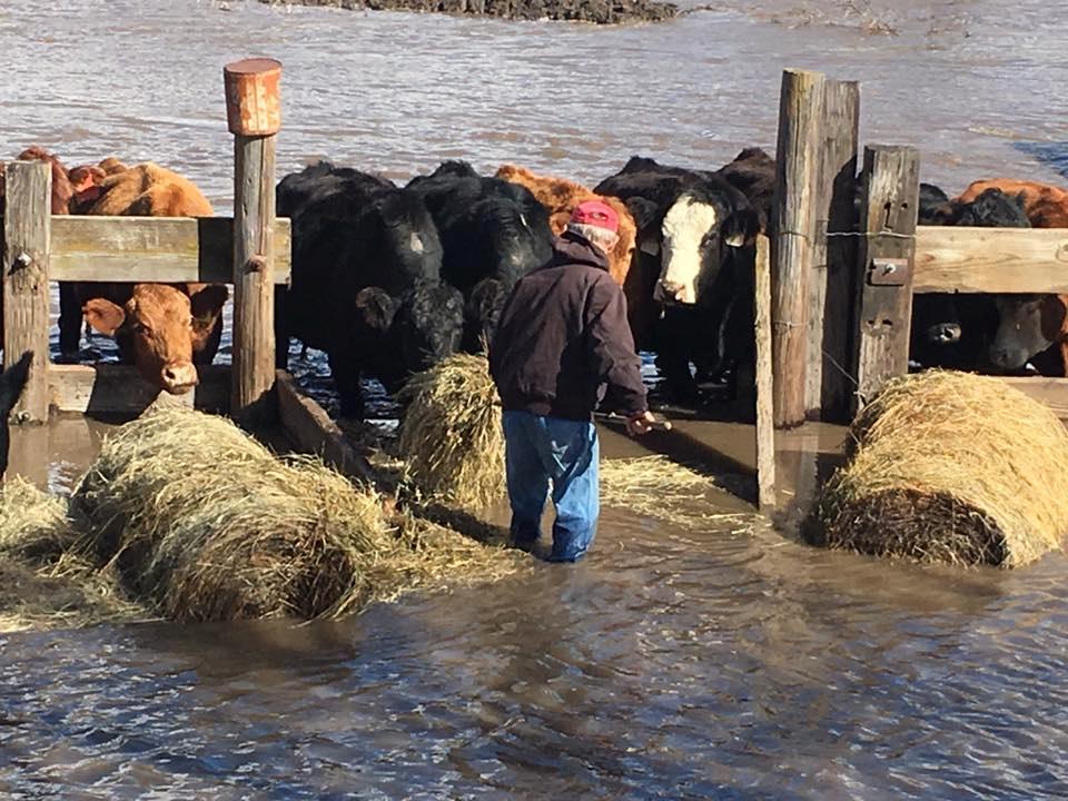 Oklahoma Farm Report Flooding Much Less Devastating Than Thought with