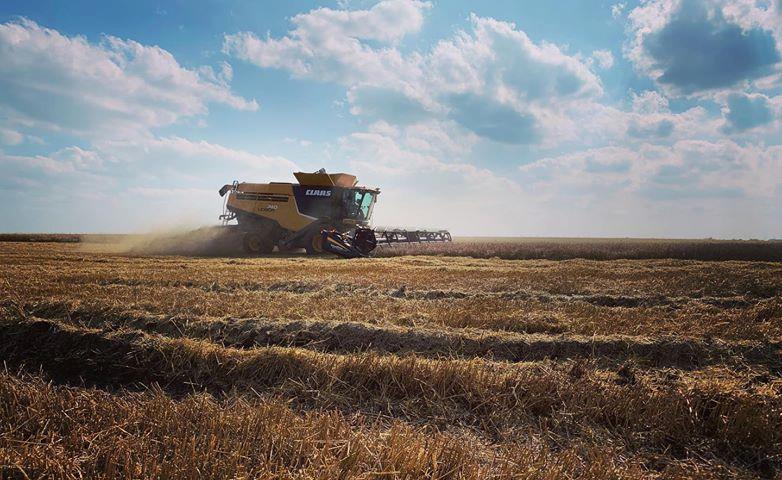 Wheat Harvest Moves Quickly Forward with Oklahoma Wheat Commission Calling Crop Now 58% Harvested