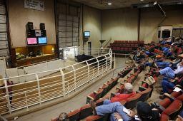 Slaughter Cows Mostly Steady on Lighter Receipts and Slaughter Bulls Unevemly Steady at OKC West Livestock Auction 