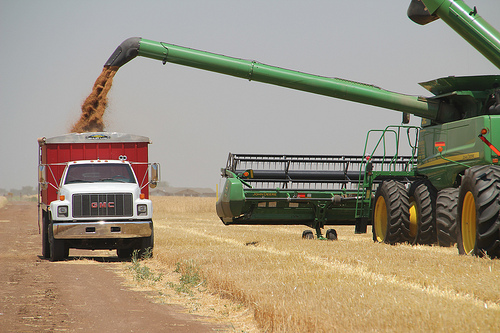 Oklahoma Wheat Commission Calling State's 2019 Wheat Harvest 85 Percent Complete