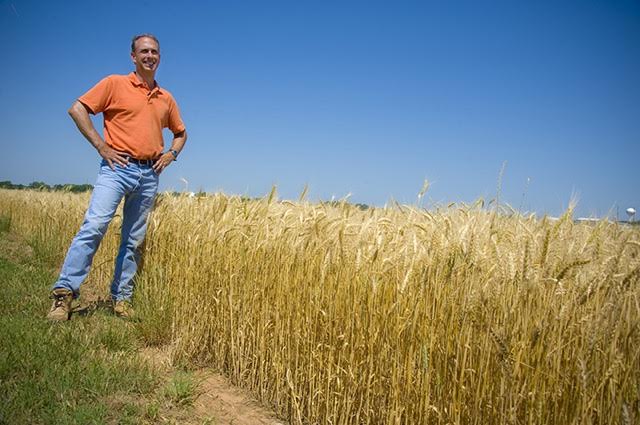 State Wheat Breeder Brett Carver Shares Vision for the Future of OSU�s Wheat Improvement Program
