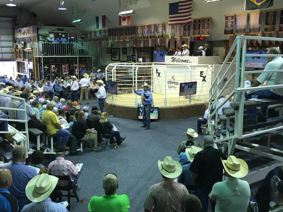Express Ranches Big Event Sale Tops Five Million Dollars- as Owner Bob Funk Uses Venue to Champion Rural Youth