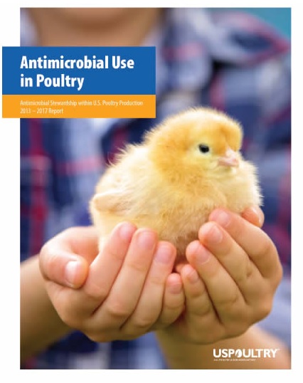 First-Ever Report of Antimicrobial Use Across US Poultry Industry Reveals Dramatic Changes, Improved Stewardship