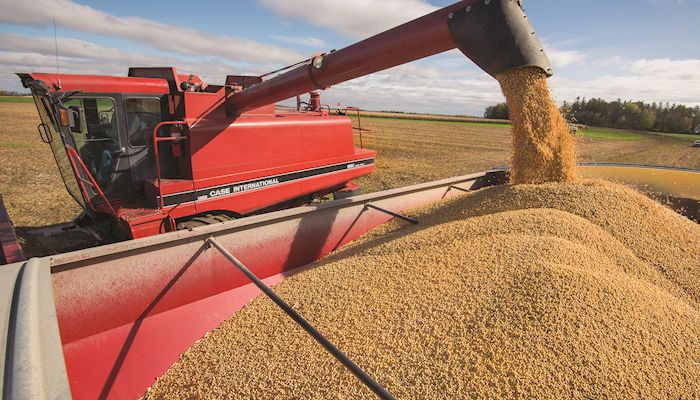 National Corn Harvest Struggles Just Past Half Done- Soybeans Hit Three Fourths Mark at the Start of November