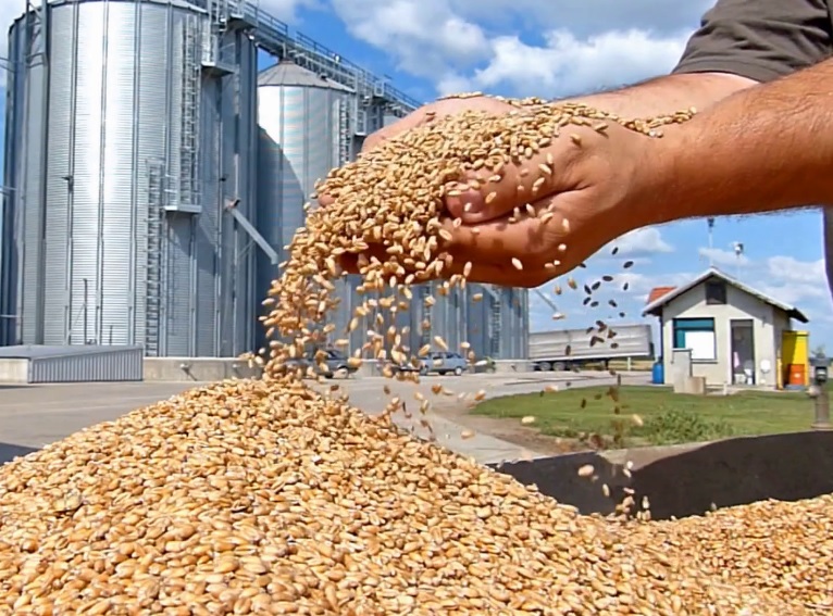 Oklahoma Farm Report Oklahoma Grain Elevator Cash Bids as of 200 p.m