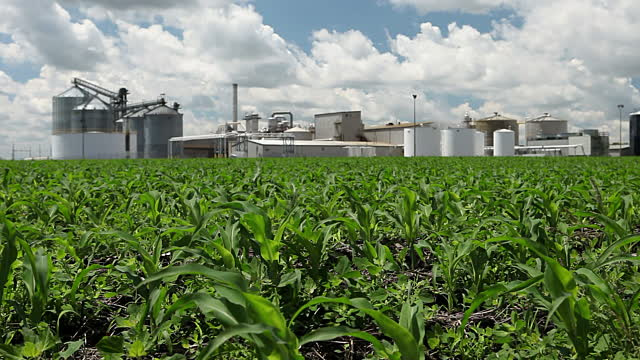 Recent Plant Closings Show Biofuel Demand, Farm Economy Under Significant Strain 