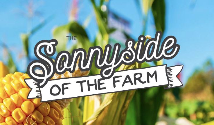 Sonnyside of the Farm--USDA's Work Durving Covid-19
