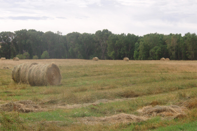 Oklahoma Hay Report for Week of May 28, 2020