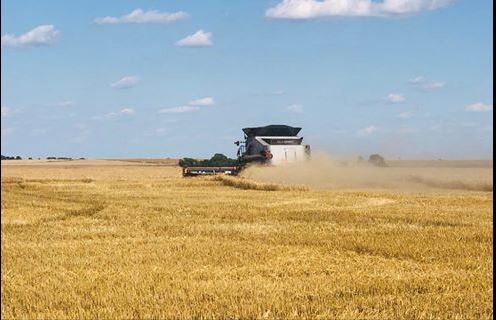 Oklahoma Wheat Harvest Begins Across Southern and Central Oklahoma All at the Same Time