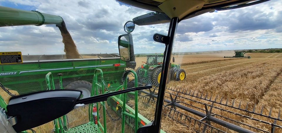 Oklahoma Wheat Harvest Advances Quickly- Now Called 21% Complete by Plains Grains- Texas 35% Done