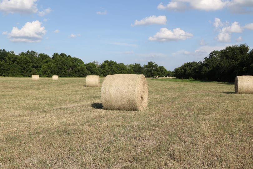 USDA Reports Oklahoma Has Over 9.5 Million Acres of Cropland in 2020