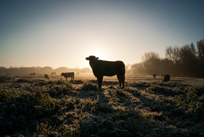 Livestock and Sportsmen Groups Enter Historic Conservation Partnership