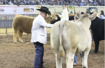 Inaugural Cattlemen�s Congress Coming to OKC Fairgrounds in January