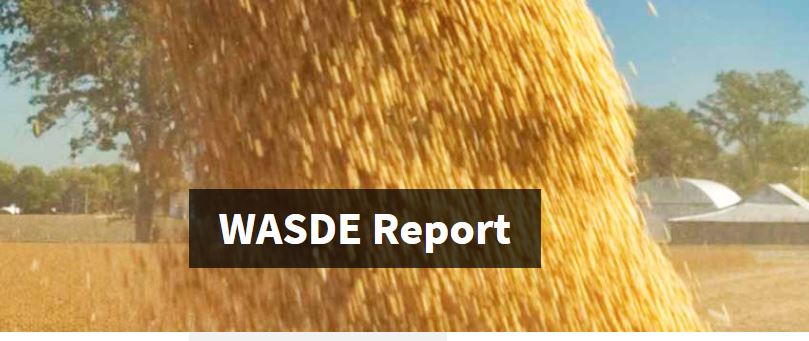 WASDE Lowers Corn and Soybean Harvest Projections and Stocks