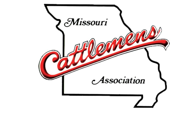 Missouri Cattlemen�s Back Cattle Market Transparency Act of 2020