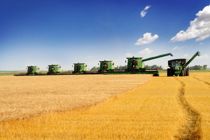 Custom Harvesters Provide Affordable, Effecient Service When Farmers Need It The Most
