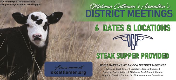 OCA District Meetings Scheduled