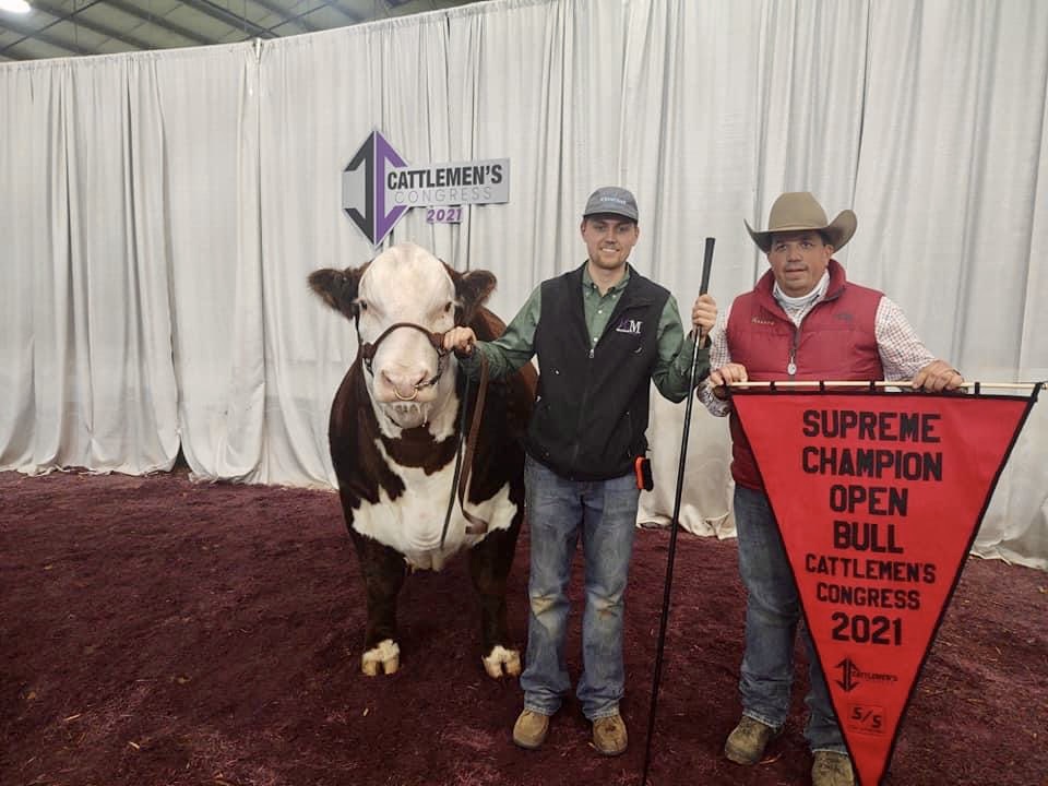 Supreme Champions Selected at Cattlemen's Congress