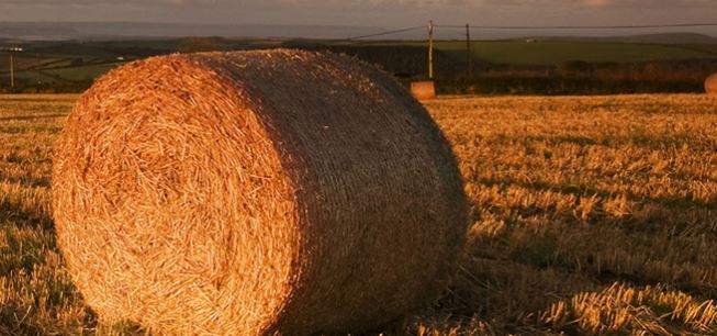 Regional Hay issues due to Western Drought