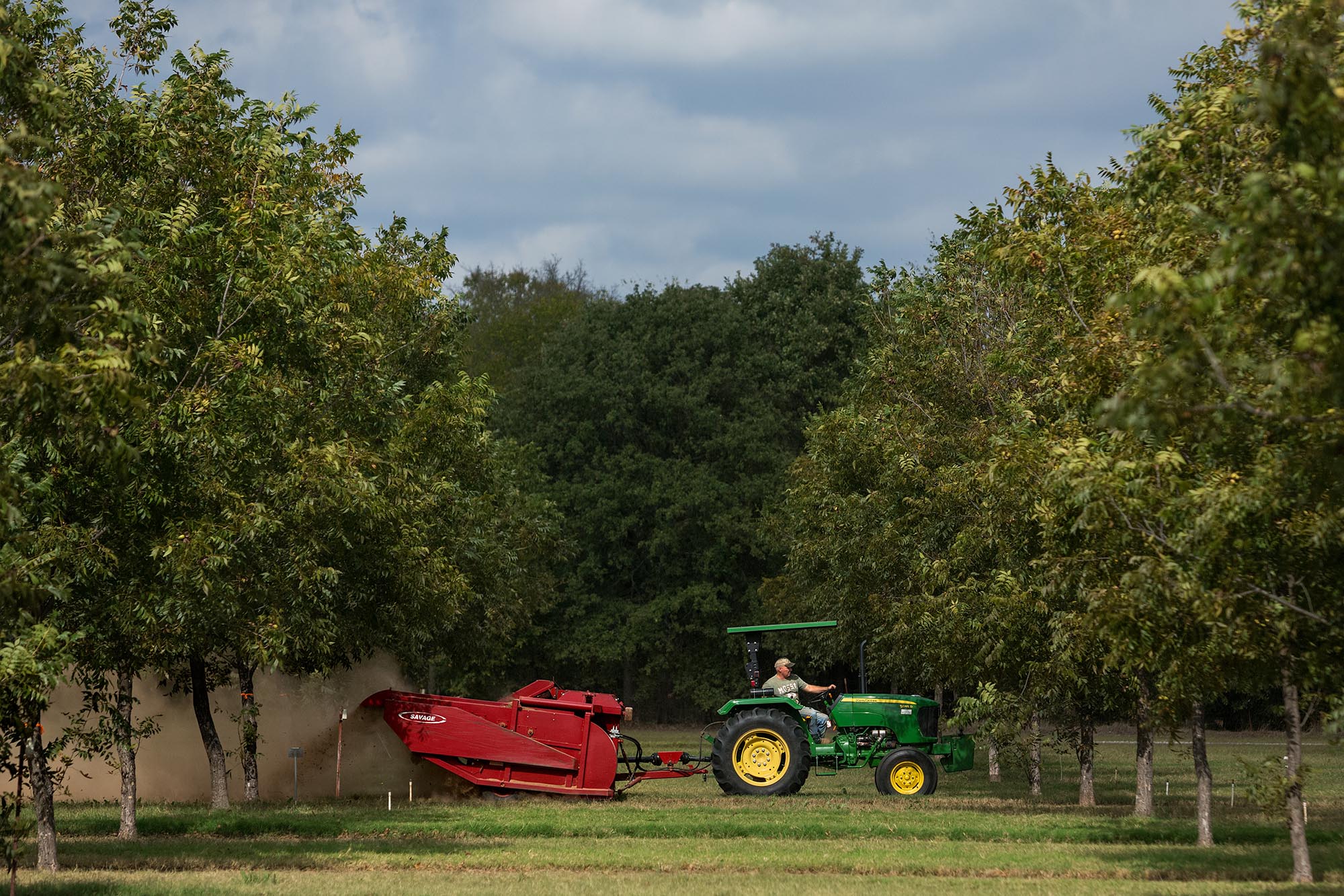 Oklahoma Farm Report Pecan growers Zoom sessions return Feb. 12