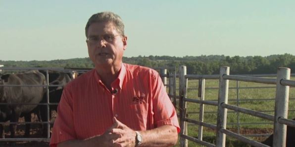 Dr. Glenn Selk Riding off Into the Sunset as he writes his final Cow Calf Newsletter 