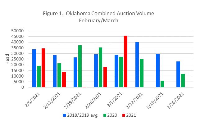 Dr. Derrell Peel on the Volatile Feeder Auction Volumes in Oklahoma 