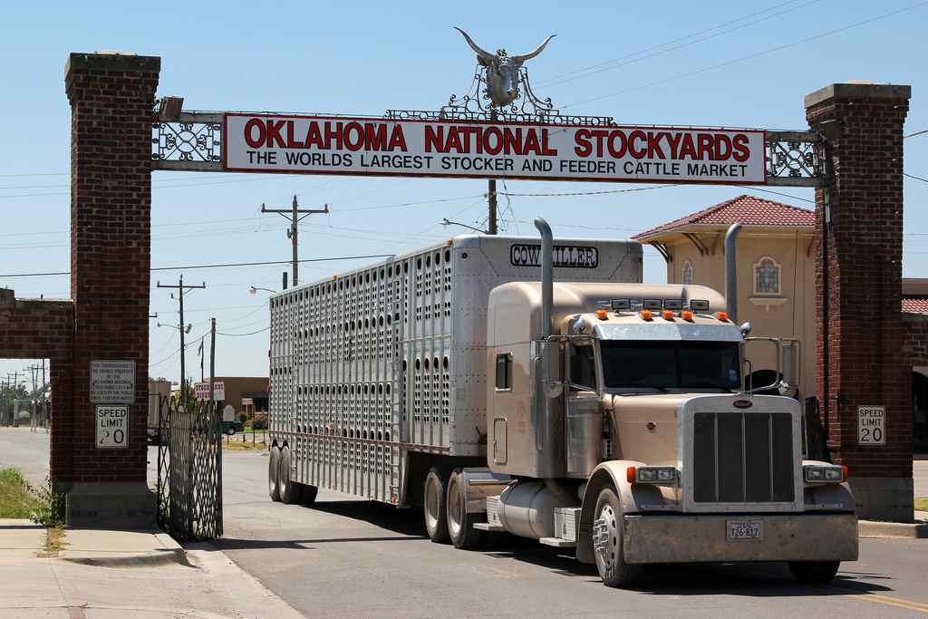 Cattle Mostly Higher at Oklahoma National Stockyards on Monday