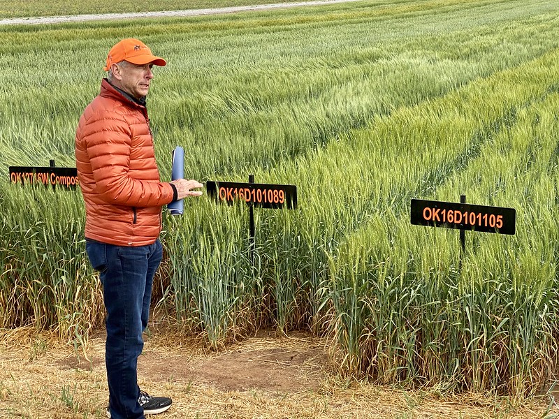 Road to Rural Prosperity with OSU's Dr. Brett Carver-- On How the 2021 Wheat Crop has handled the Historic Freeze  & Whats Coming up Next