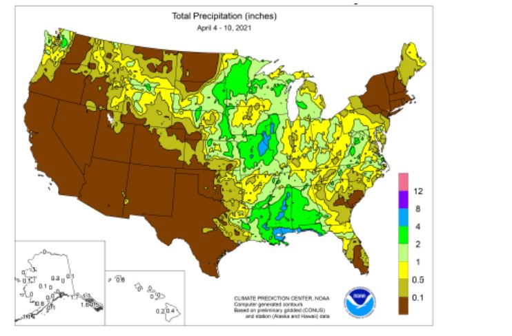 U.S. Hard Red Winter Wheat Farmers Looking for Rain