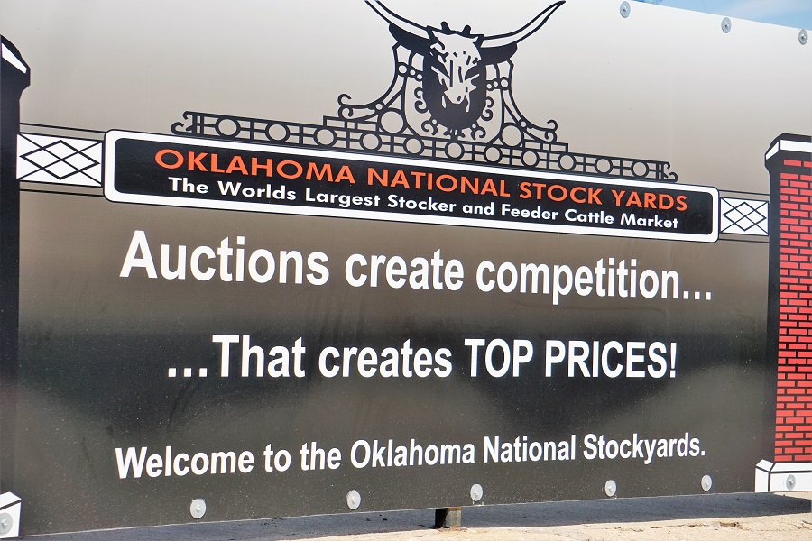 Feeder Steers and Heifers Lower, Steer and Heifer Calves Lower at Oklahoma National Stockyards on Monday
