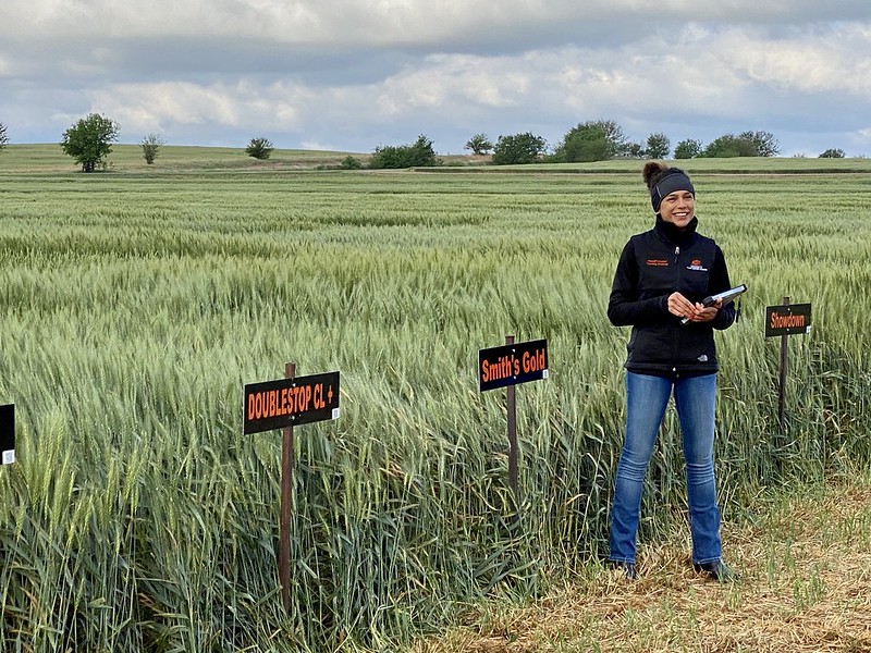 Despite Weather Challenges, Oklahoma Wheat Crop Looks Good And OSU's Dr. Amanda Silva Invites Producers to View The Field Trials at Lahoma This Friday