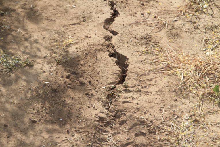 Jimmy Emmons Explains Why the Time to Plan for Drought is Right After a Rain