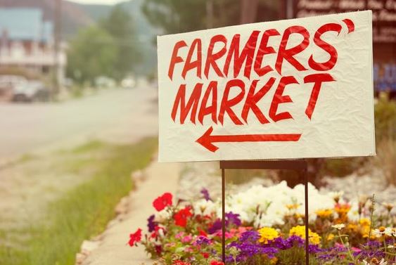 Farmers Market Season Renewing Community Spirit Statewide 