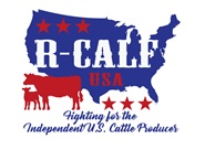 Ranch Group Applauds 28 Congressional Members Calling for Cattle and Beef Market Reform