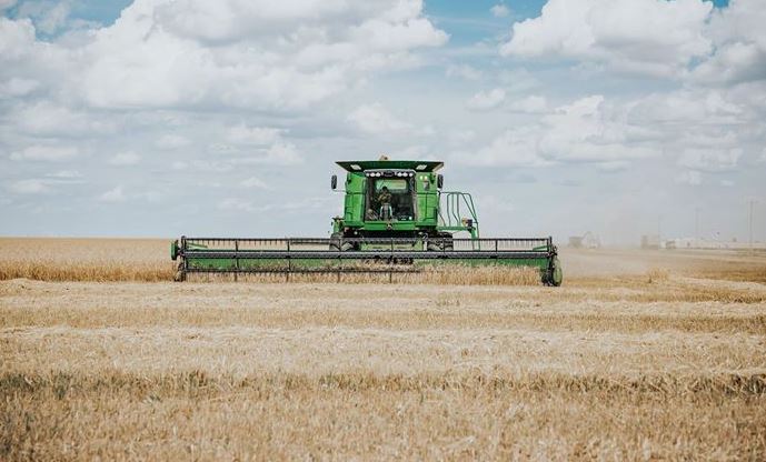 Oklahoma Wheat Harvest Begins for the 2021 Season, Amid Cooler Temperatures and Heavy Moisture