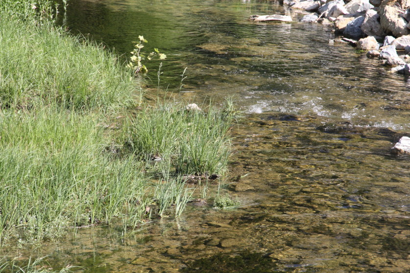 Biden EPA Announces Plan to Dump Trump Navigable Waters Protection Rule to Develop Stricter Clean Water Rule