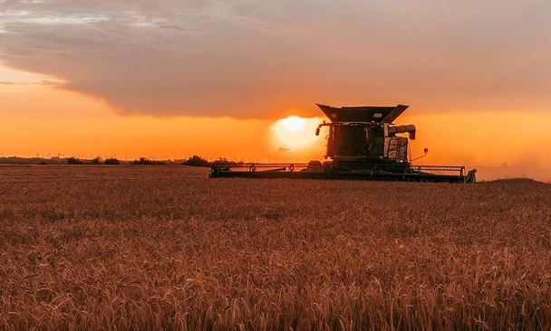 Oklahoma Wheat Harvest Continues to Roll Along in Week Two 