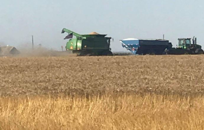 Oklahoma Wheat Harvest Made Great Strides, Hindered by Light Rains and Cooler Temperatures Estimated at 55% Complete 