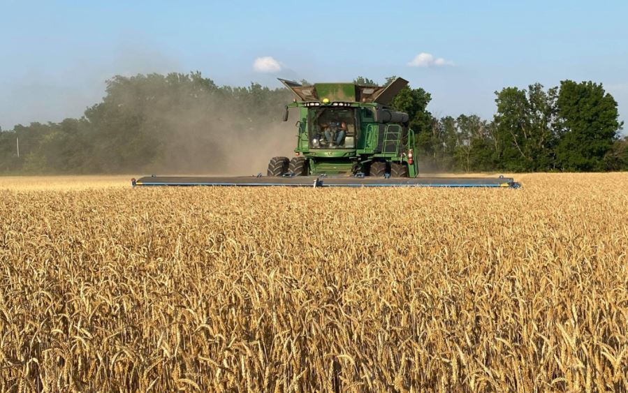 Oklahoma Wheat Harvest Has Made Great Strides, Showing Harvest is 85% Complete 